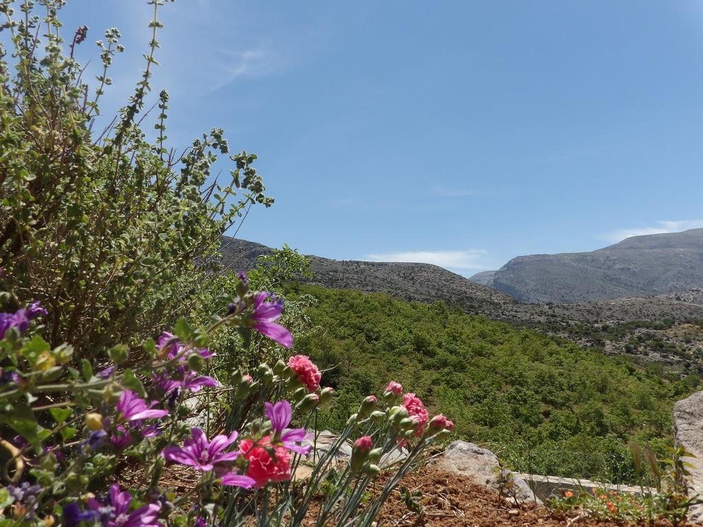 Arodamos Krousonas (Crete)