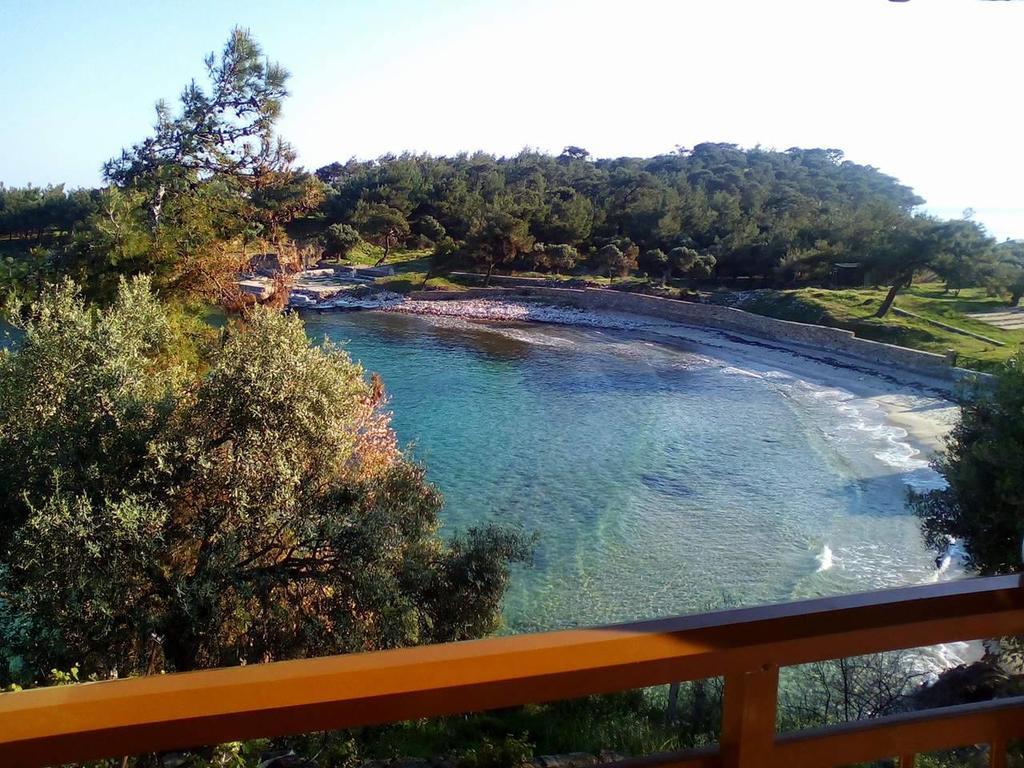 Apartment Vaso Aliki (Thasos)