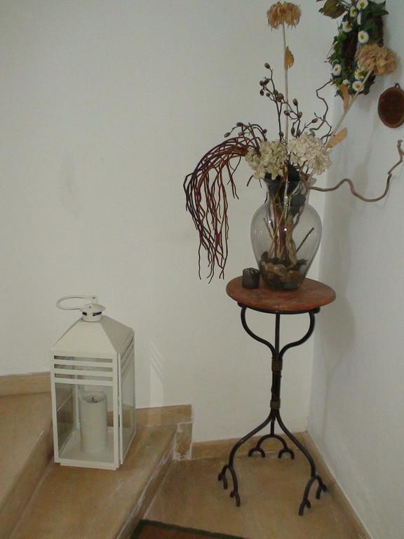 Center House Apartment