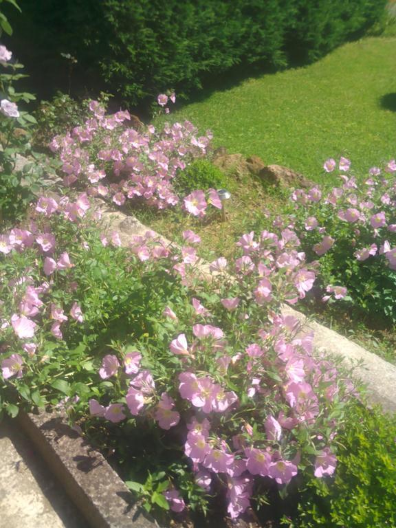 Kassandra Guest house Kala Nera