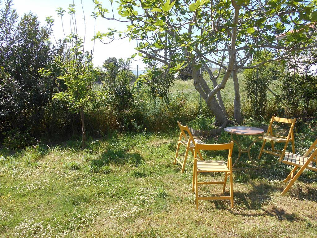Aparthotel Kassimiotis Agios Andreas (Messenia)