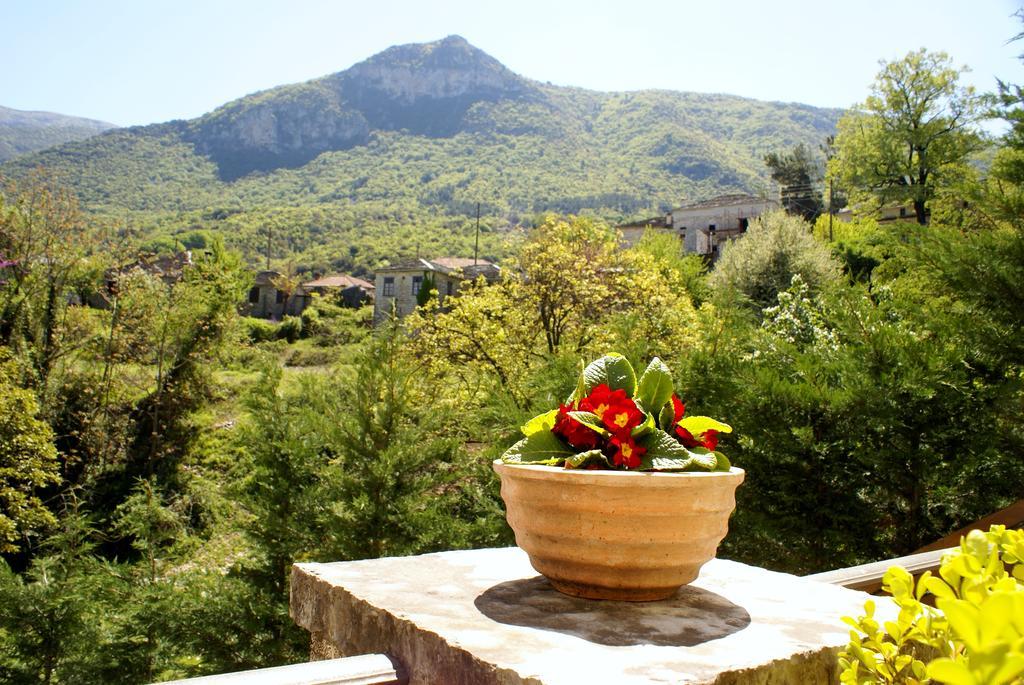 Hotel Gamila Rocks Mountain 4*