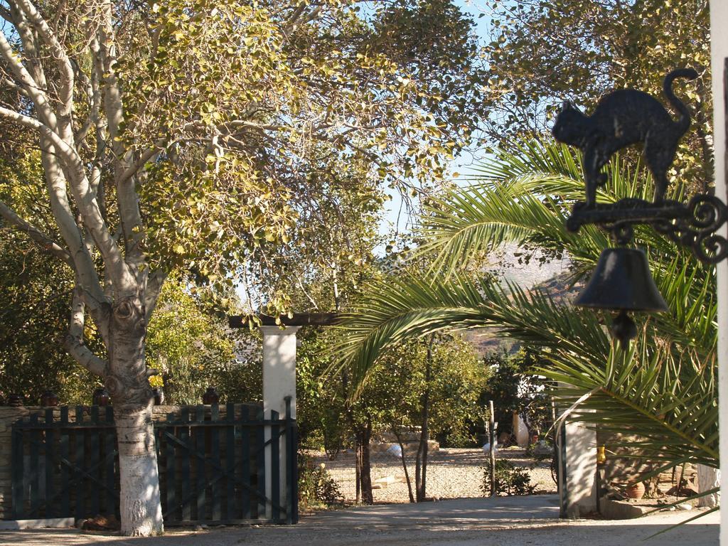 Pegasus & *