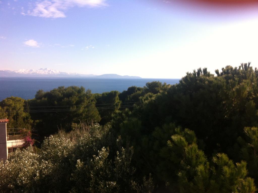 Apartment Aliki *