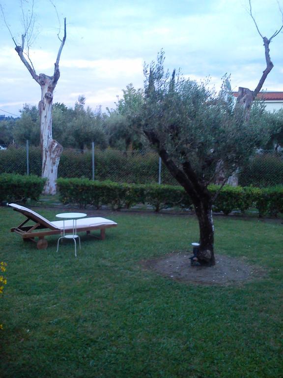 Holiday home Anastasia Skioni Mola Kalyva