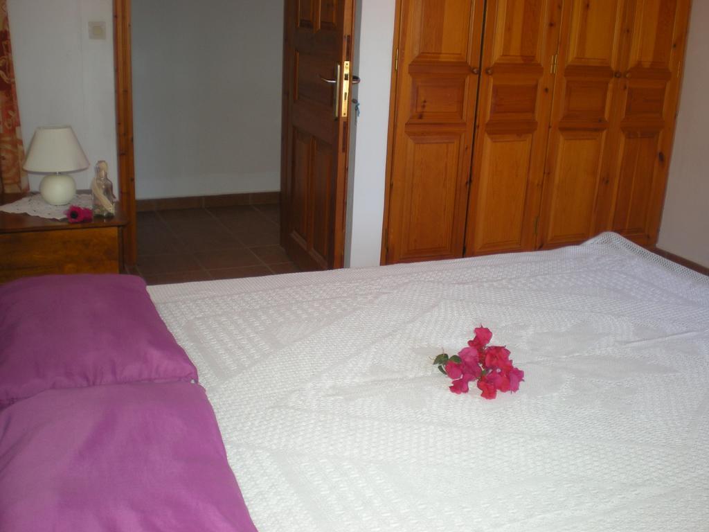 Patmos Garden Sea Apartment Grikos Bay (Patmos)