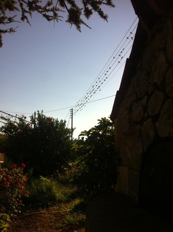 Pyrgos Alevra Guest house