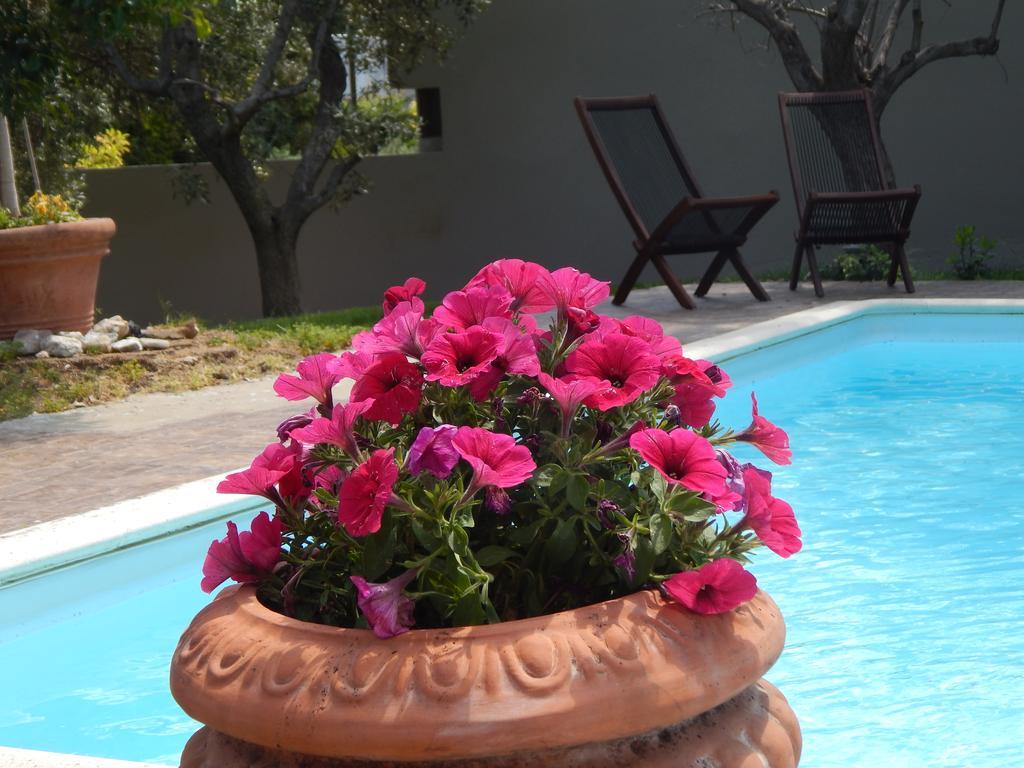 Slow Living Beautiful Villa