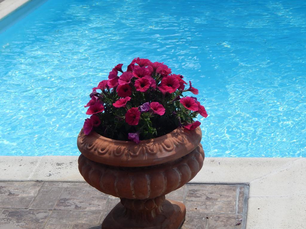 Villa Slow Living Beautiful *
