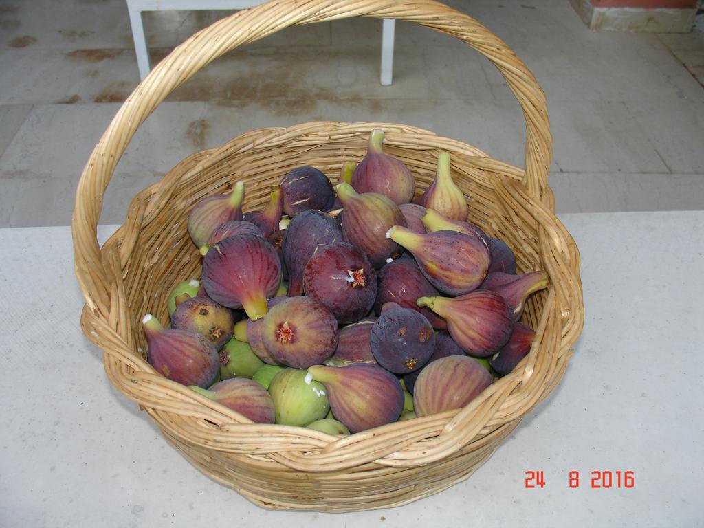 Villa Magia