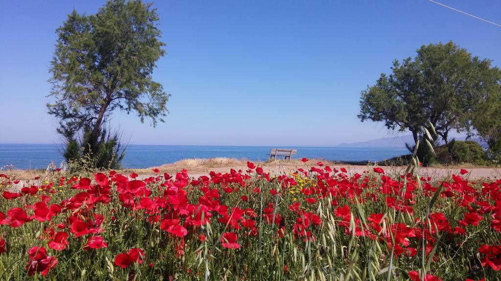 Irida 3* Kyparissia
