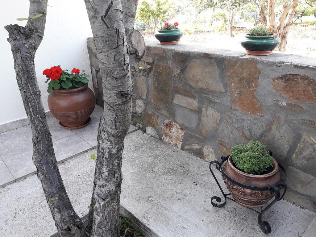 Nikiforos House Agios Nikolaos (Chalkidiki)