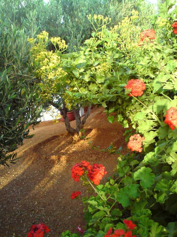 Xenia Makry Gialos (Crete)