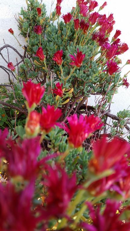 Xenia Apartment Makry Gialos (Crete)