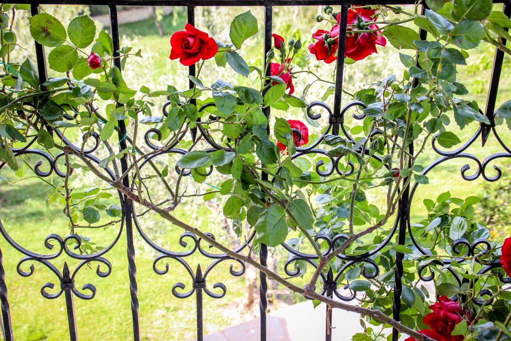 Villa Halkidiki Family - Garden By Travelpro Services Nea Moudania Halkidiki