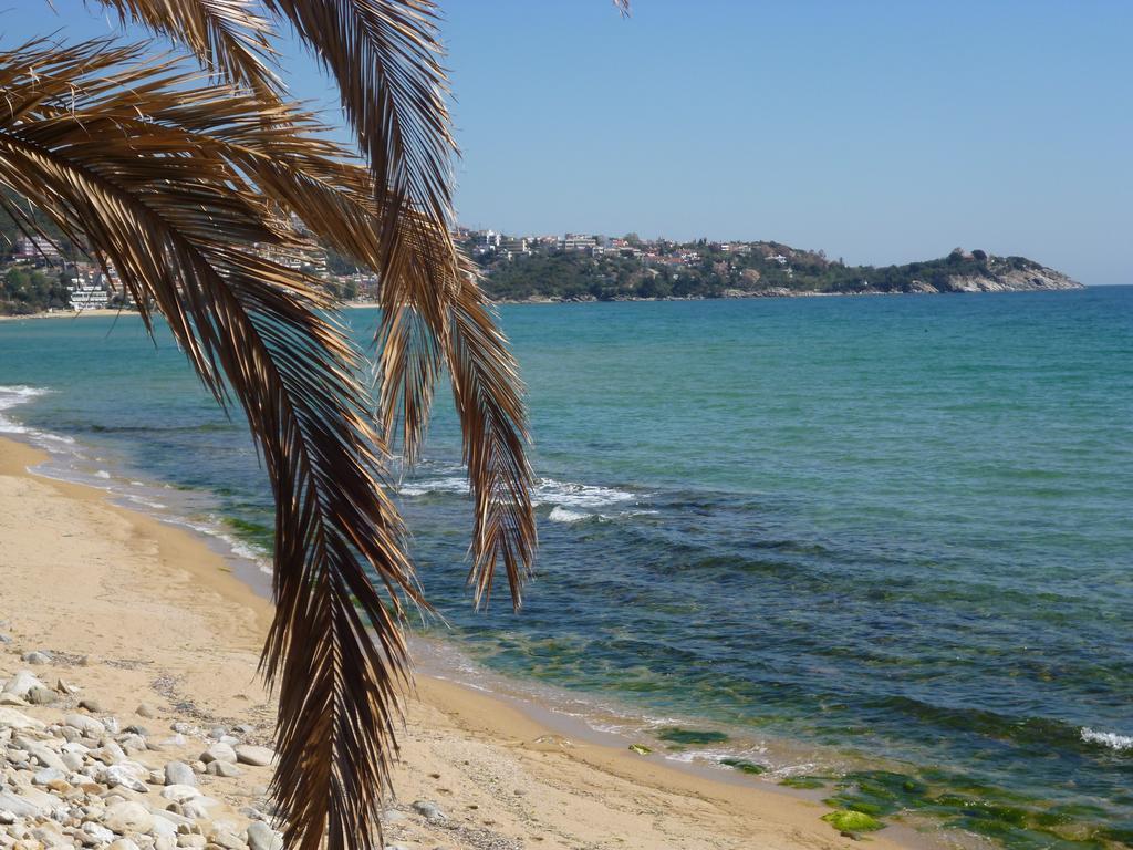 Sea Flower * Kavala