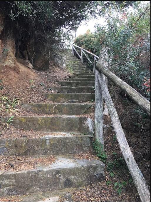 In Cavo Kastri * Nikiti (Sithonia)