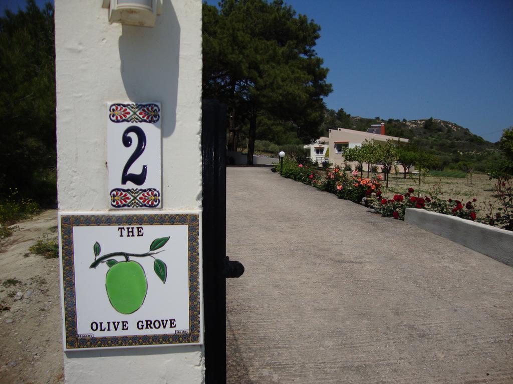 The Olive Grove Private Pool With Star Links Wifi Villa *