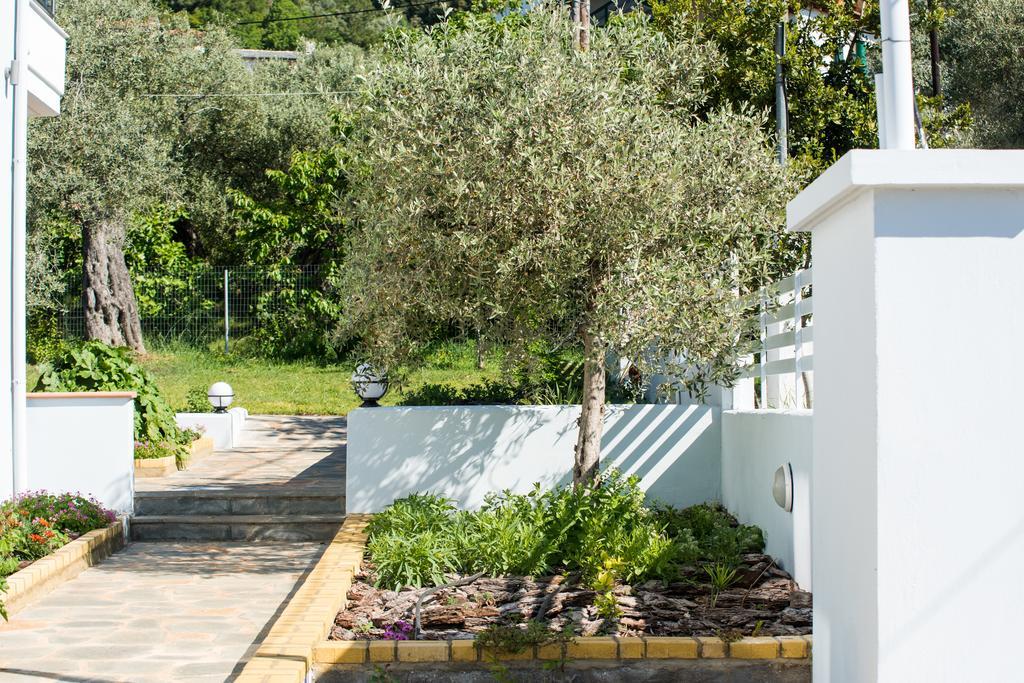 Olive Garden And Apartment Chrysi Ammoudia