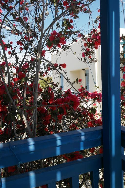 Guest house Pigasos