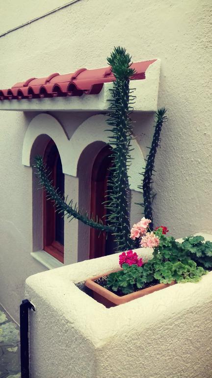 Olondio Apartment Elounda (Crete)
