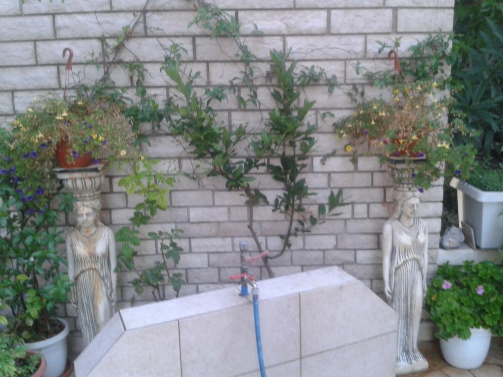 Fiori * Paralia Katerinis