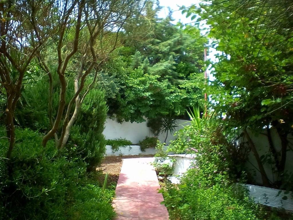 Apartment Irini Plomari