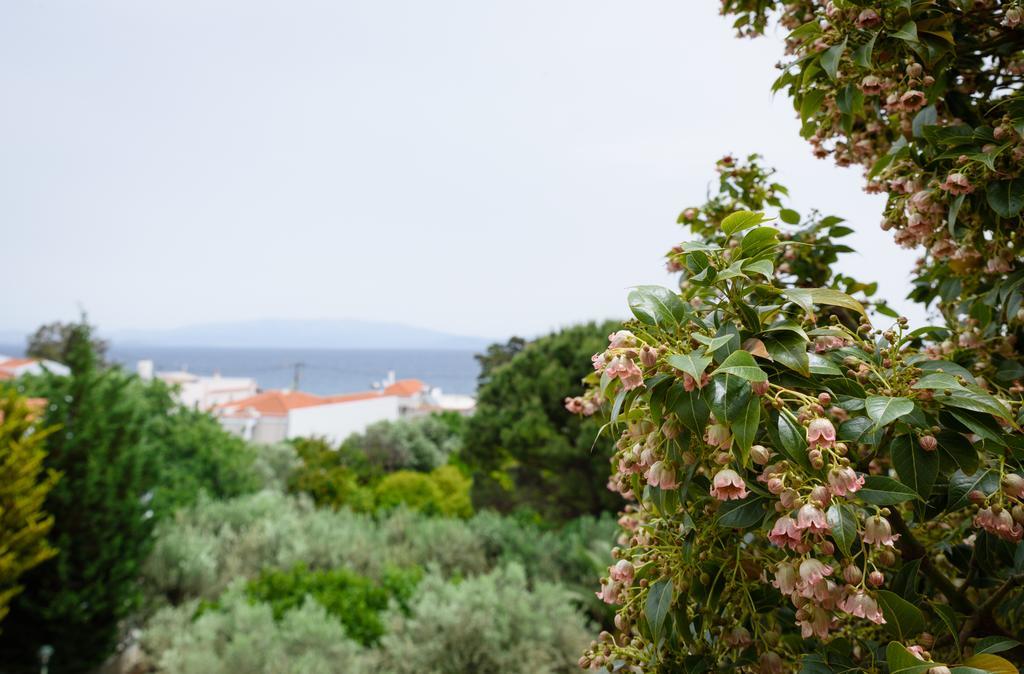 Kyveli