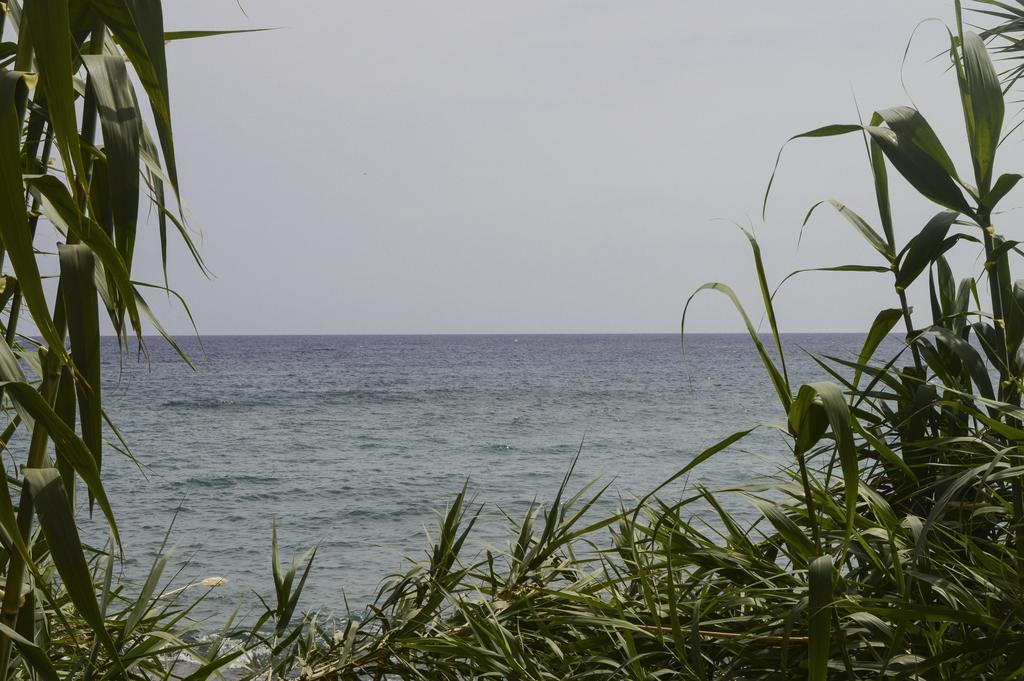 Andromeda & Studios Hersonissos (Crete)