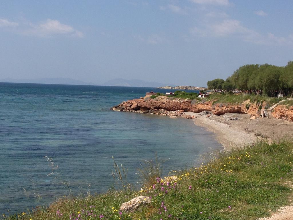 Sounio Sunset Beach Apartment Palaia Fokaia