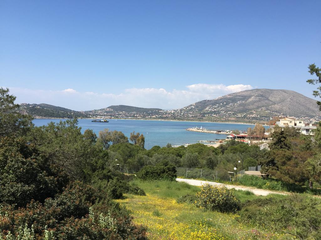 Sounio Sunset Beach Apartment Palaia Fokaia