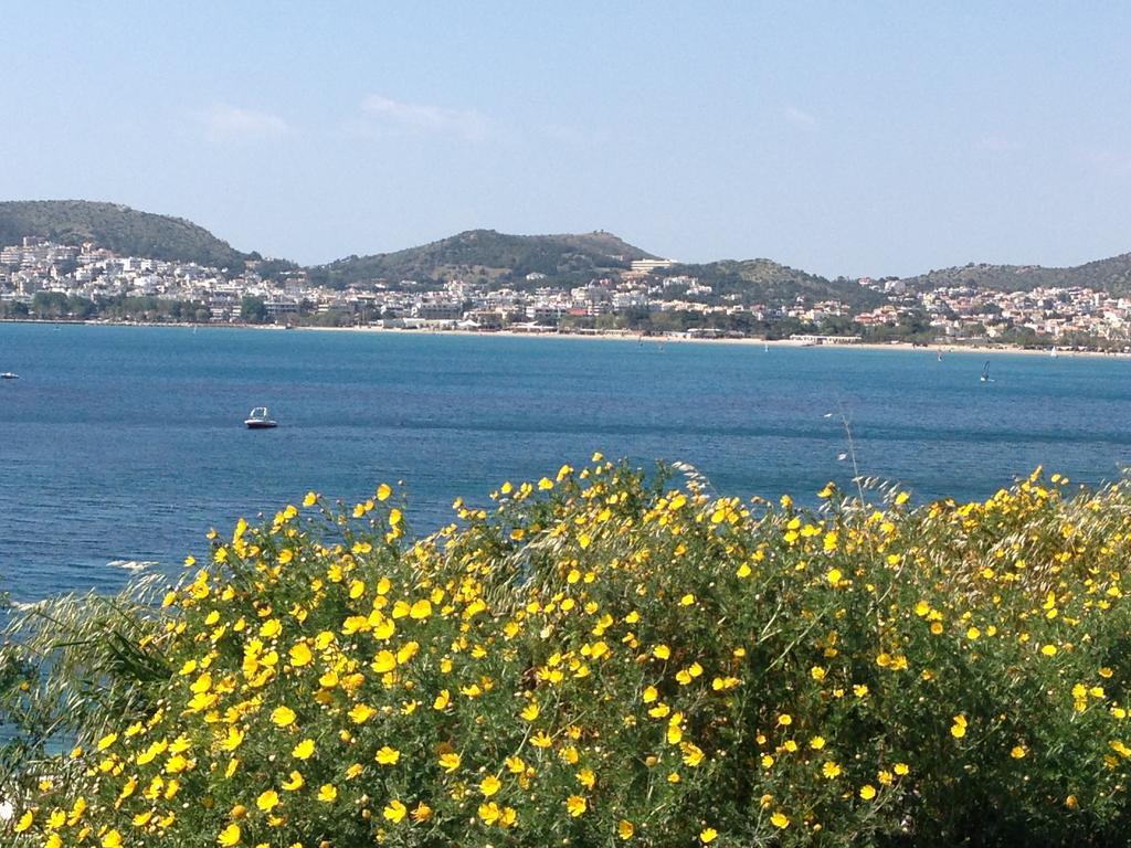 Sounio Sunset Beach Apartment *