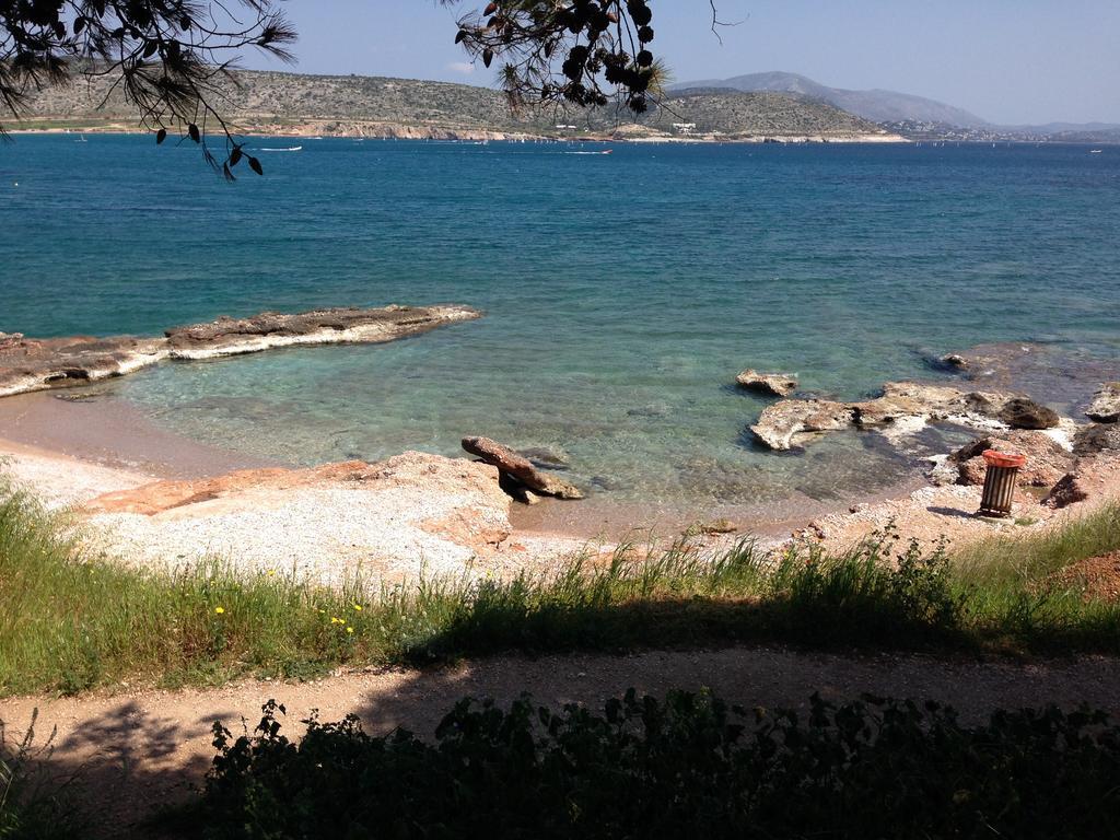 Sounio Sunset Beach Palaia Fokaia