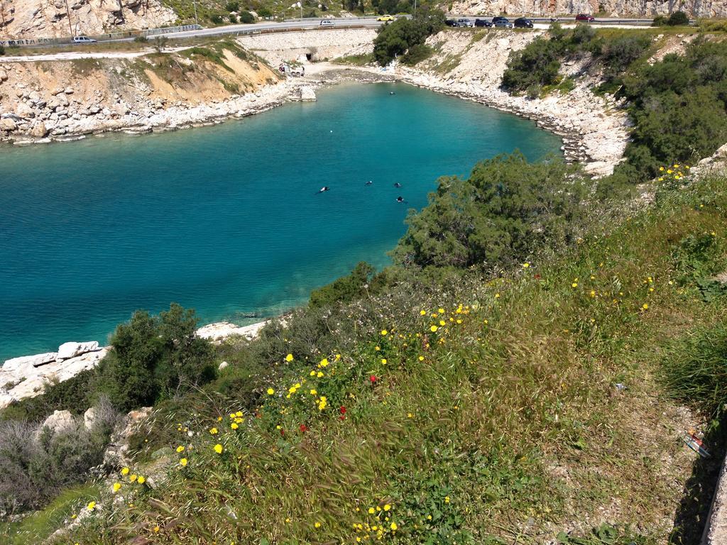 Apartment Sounio Sunset Beach Palaia Fokaia