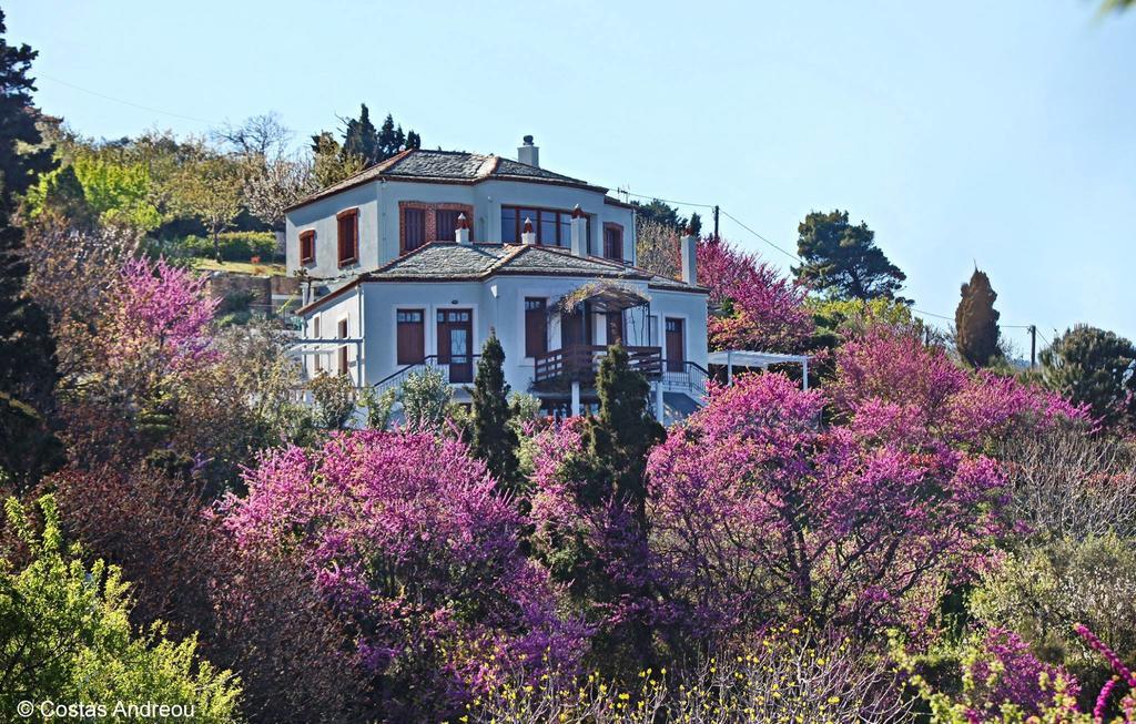 O Stolios Apartment *