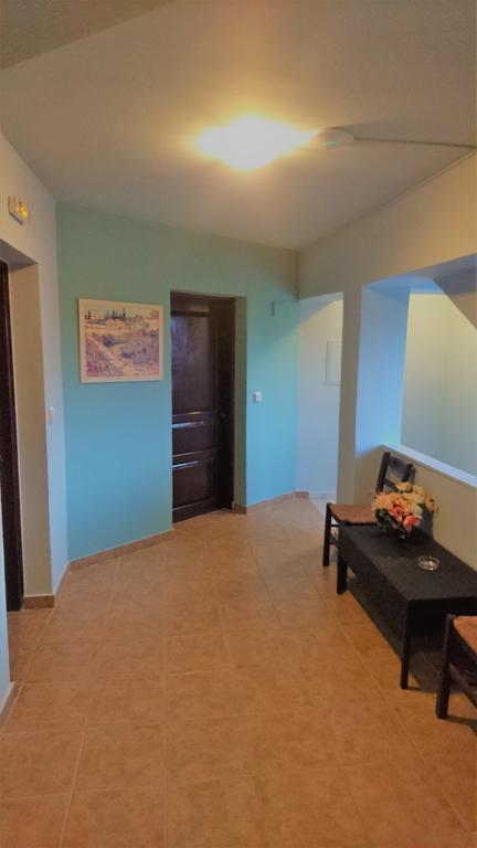 Doras Zante & Apartment Argassi