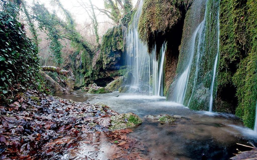 Petradi Hotel Kalamaki (Thessaly)