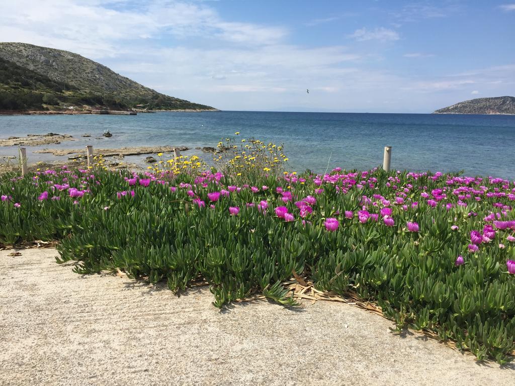 Apartment Sounio Sunset Beach Palaia Fokaia