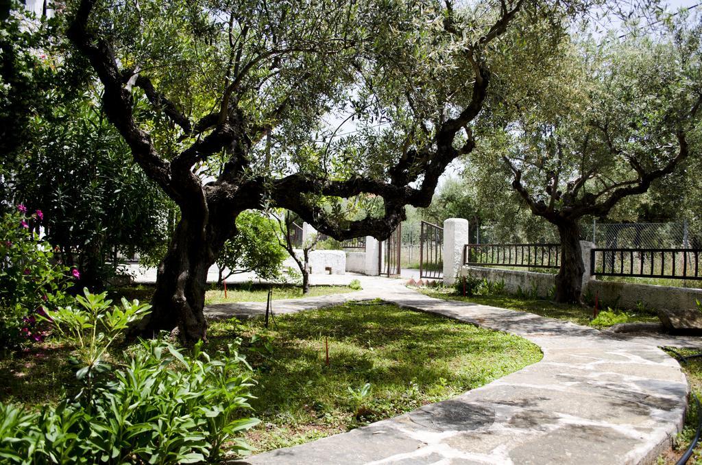 Apartment Taygete