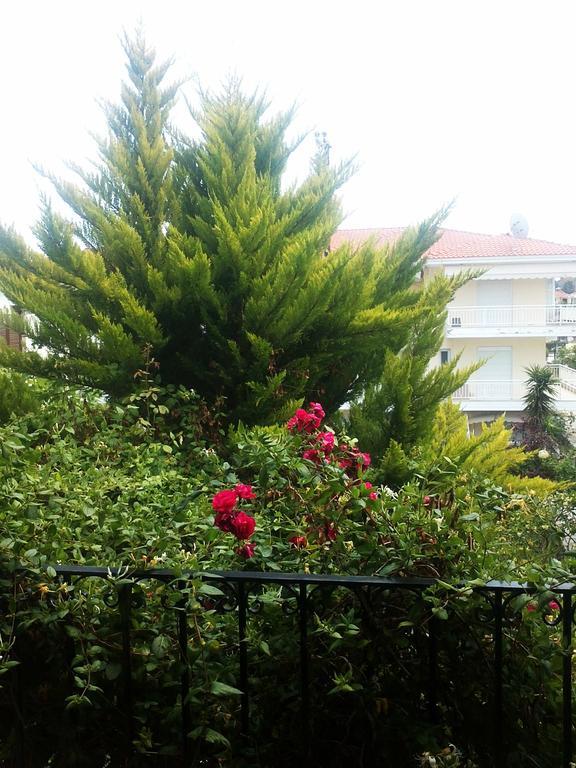 Apartment Charming Maisonette Polychrono