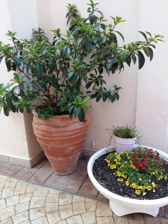 Apartment Fiori Paralia Katerinis