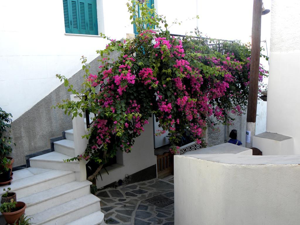 Hotel Anixis