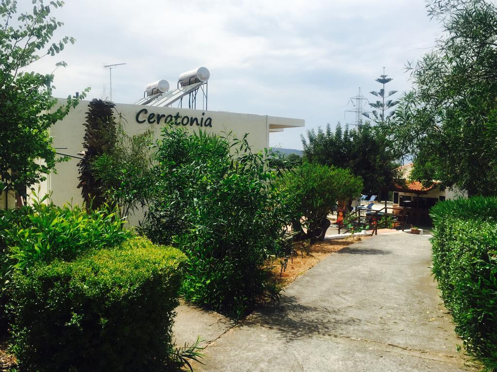 Apartment Ceratonia