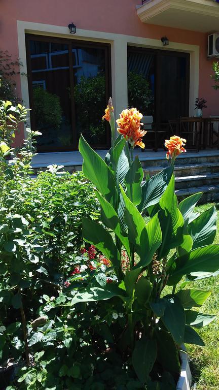 Guest house Epavli Veneti Parga