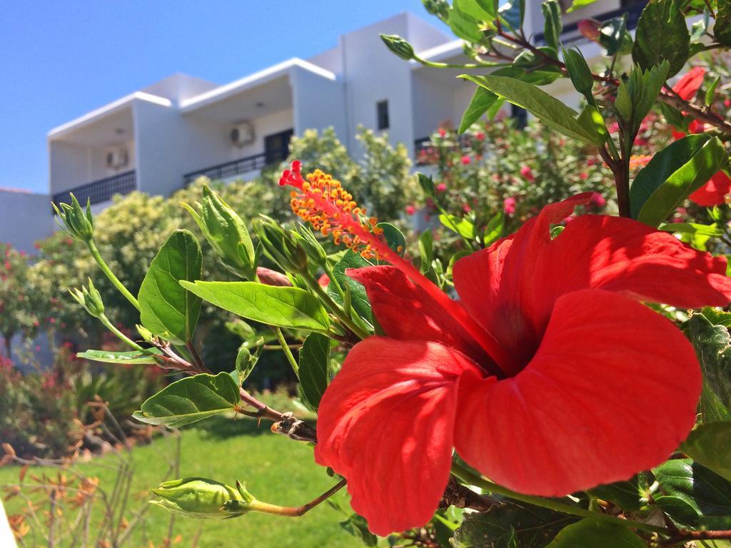 Aparthotel Debby 2*