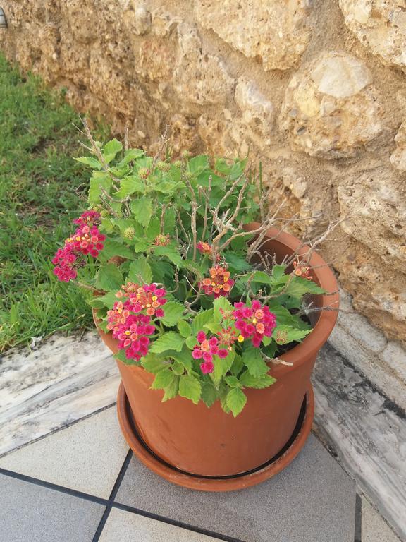 Captain's Guest house Spetses Town