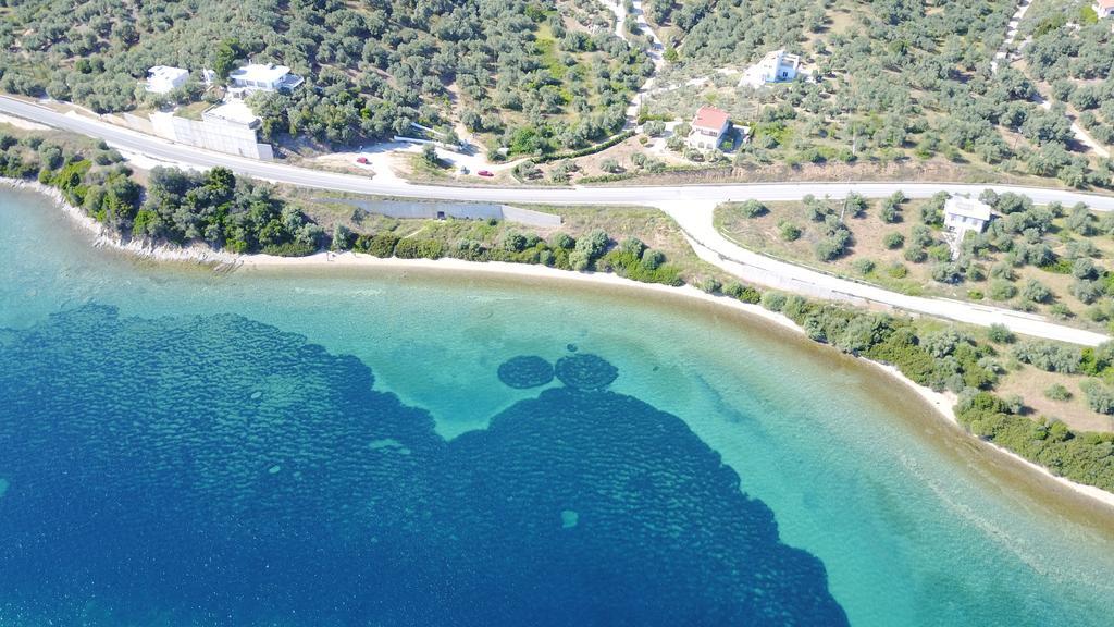 Aparthotel Calypso 2*