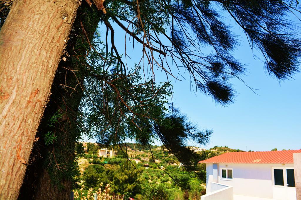 Holiday home Ambrosia House *