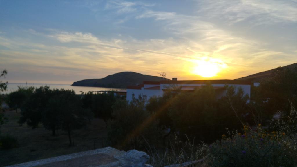 Tramonto Nel Delfini
