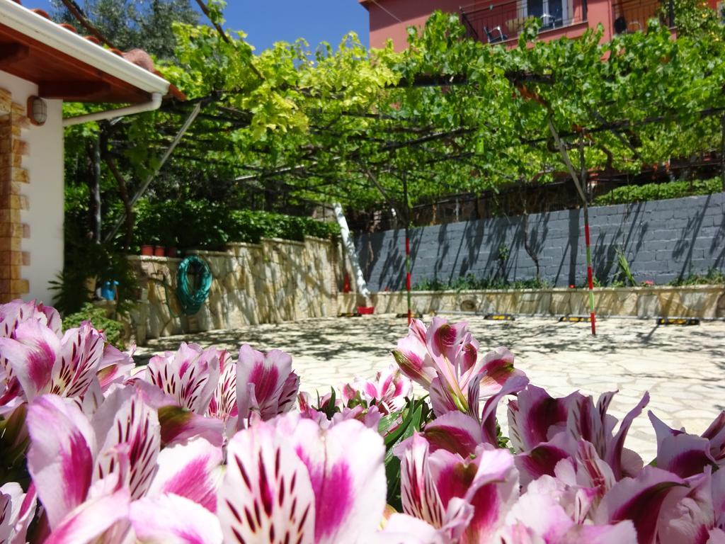 Guest house Elena Rista